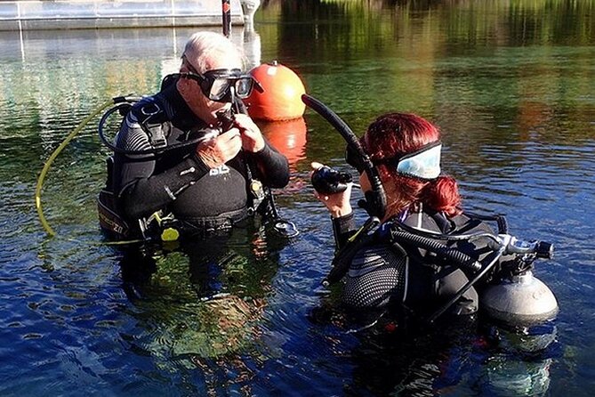 Manatees and Rainbow River by SCUBA or Snorkel - Snorkeling or Scuba Diving in Rainbow River