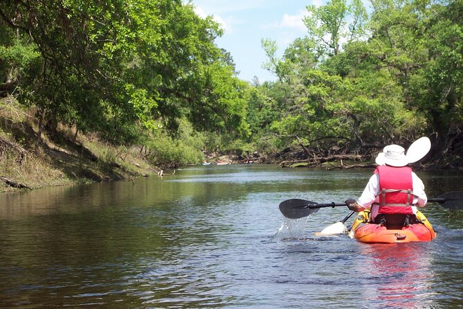 Manatees/Sunset/Bioluminescence Tour - Cancellation Policy