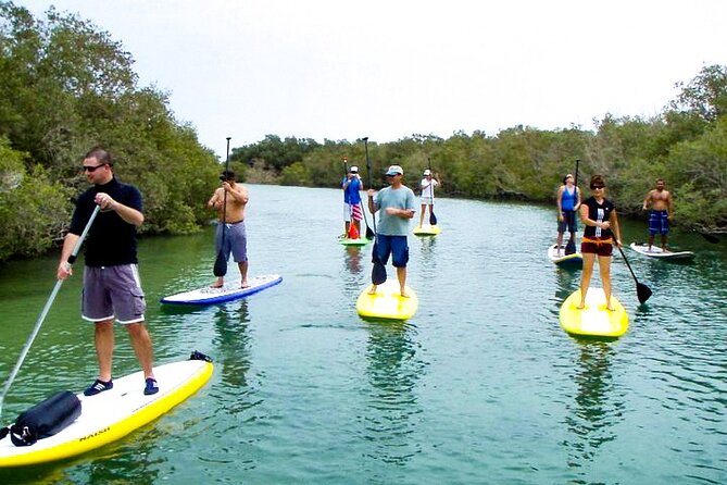 Mangrove Kayaking Abu Dhabi - Additional Information for Travelers