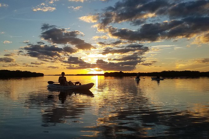 Mangrove Tunnels, Manatee, and Dolphin Sunset Kayak Tour With Fin Expeditions - Meeting and Pickup Information