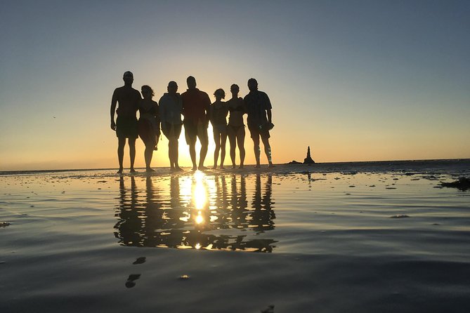 Mangroves Paddling Tour - Tour Overview