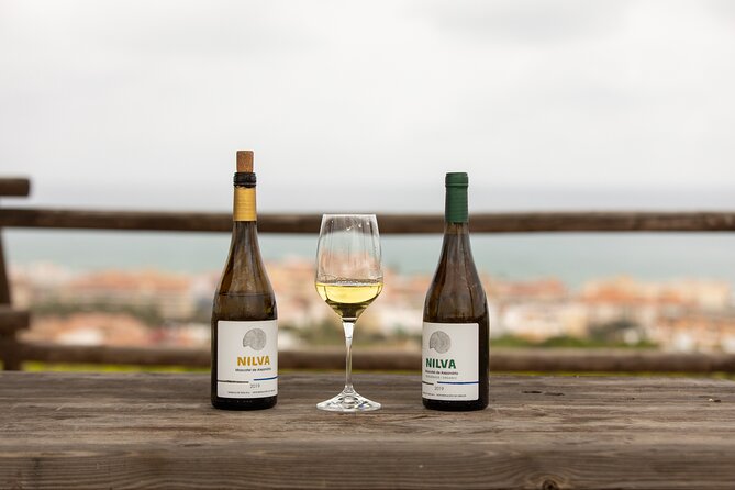 Manilva Oceanfront Wine Experience in the Marbella Area - The Sum Up