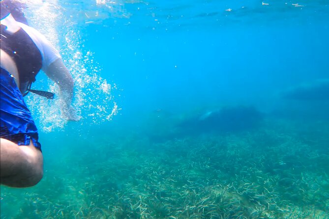 Marine Sanctuary Snorkelling Trip  - Puerto Rico - Meeting and Pickup Information