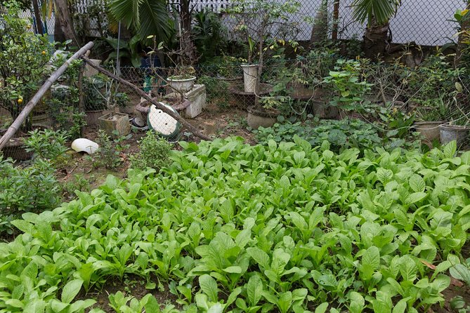 Market Tour and Cooking Class With a Local in Da Nang - The Sum Up