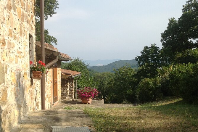 Market Visit and Cooking Lessons in a Tuscan Farmhouse - Farm-to-Table Dining Experience