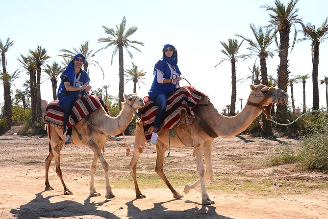 Marrakech Desert Camel Ride - Choosing and Riding a Trusty Camel