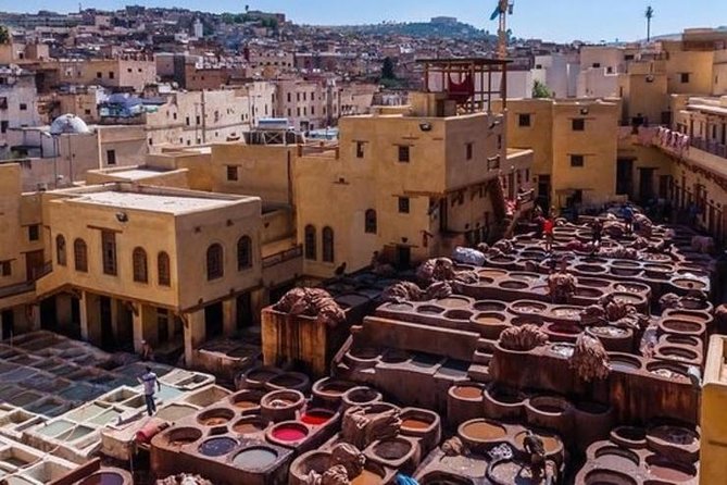 Marrakech Medina Walking Tour With Official Local Guide - Negative Experiences