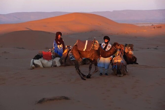 Marrakech to Merzouga 3 Day Desert Safari - Common Questions