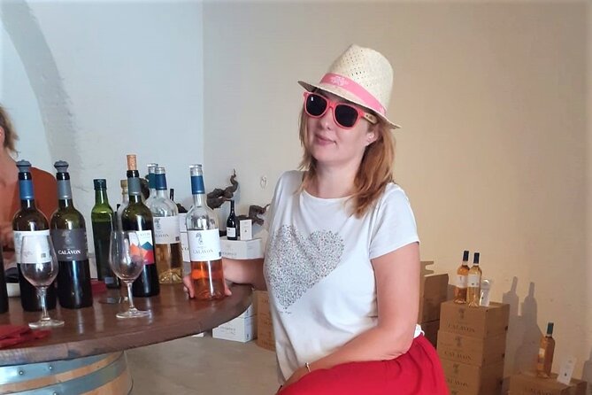 Marseille Shore Excursion - Full Day Wine Tour in Provence - Reviews