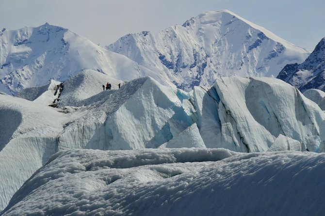Matanuska Glacier Wildlife & Wilderness Photo Tour From Anchorage - Traveler Reviews