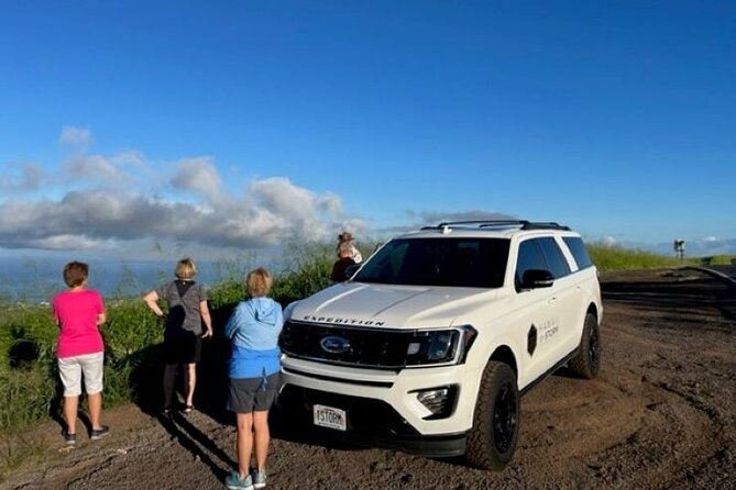 Maui by Storm: Epic Private Luxury Road to Hana Adventure Tour - Positive Reviews