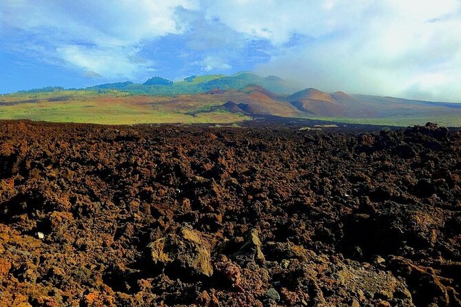 Maui Island Private Day Tour - Authenticity of Reviews
