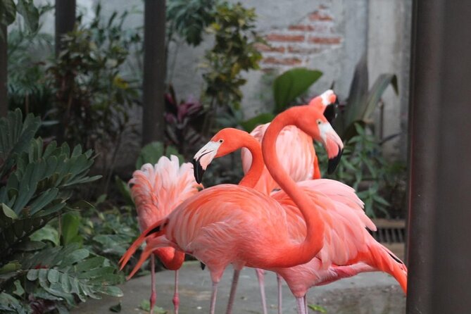 Mazatlan City Tour and Observatory - Tour Highlights and Coverage