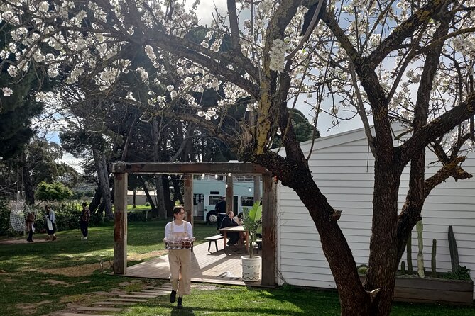 McLaren Vale Full Day Tour - The Sum Up
