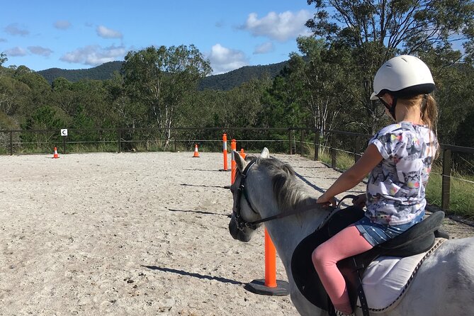 Meet the Animals: Small-Group Farm Tour, Brisbane - Genuine Traveler Reviews