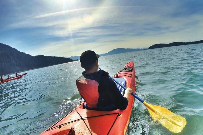 Mendenhall Glacier View Sea Kayaking - Limited Glacier Encounter
