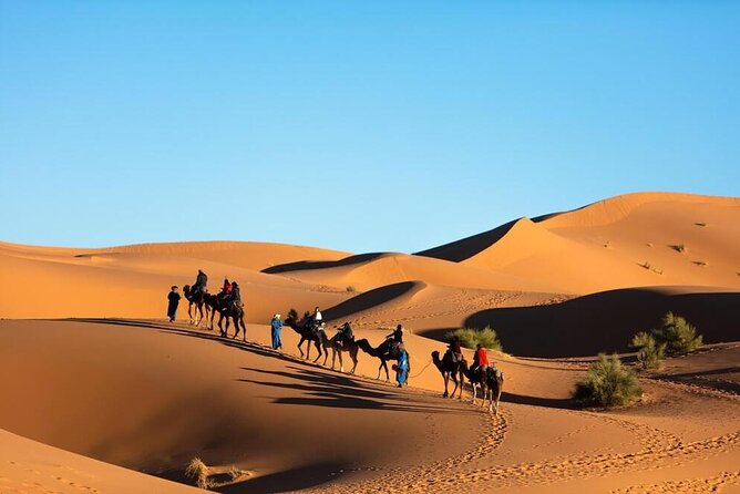 Merzouga Camel Ride & Overnight Desert Camps - Itinerary for the Camel Ride