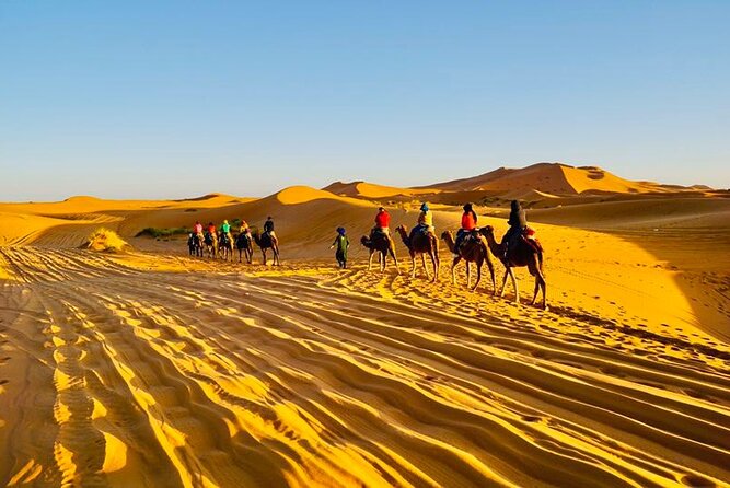 Merzouga Desert Camp - Booking and Availability