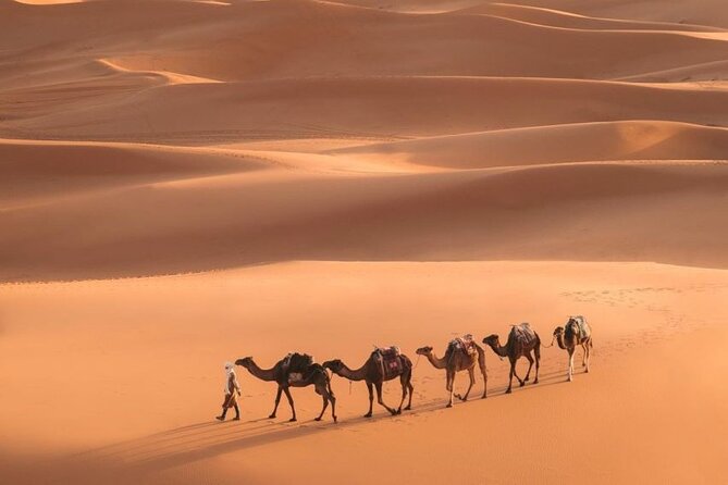Merzougas Sahara: 2-Day Tour From Fes With Camel Trekking - Traveler Photos and Reviews