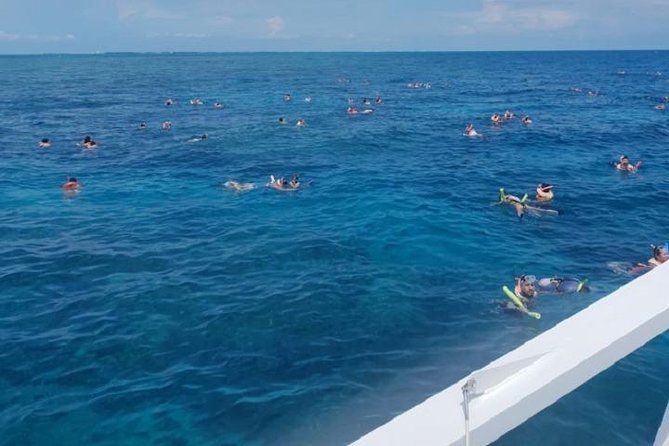 Miami to Key West Day Trip Transportation - Common Issues Experienced During the Bus Tour