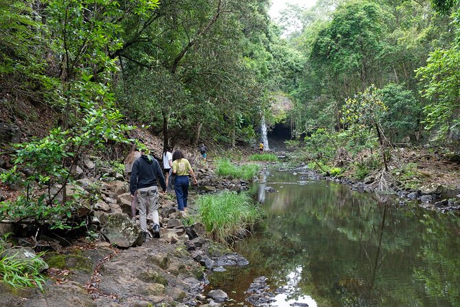Minyon Falls Full-Day Walking Tour - Exploring the Flora and Fauna of Minyon Falls
