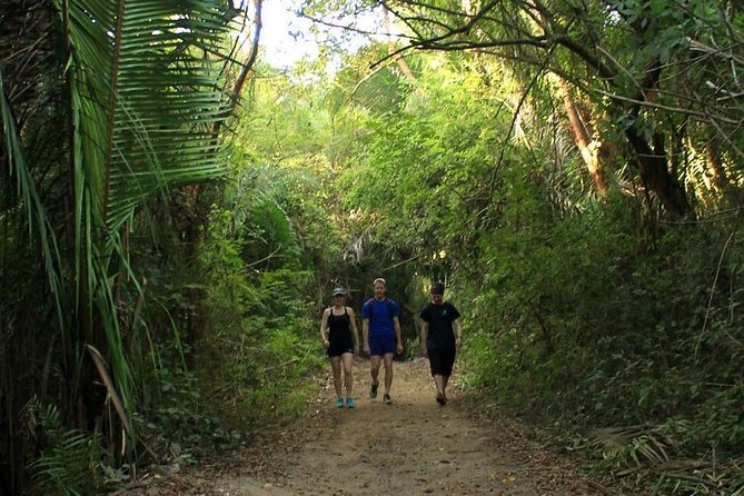 Monkey Mountain Jungle Hike Adventure - Stunning Views and Scenic Beauty
