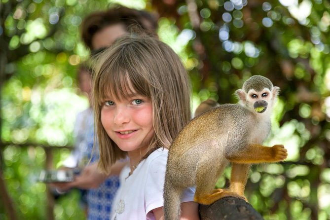 Monkeyland and Plantation Safari From La Romana - Tour Details
