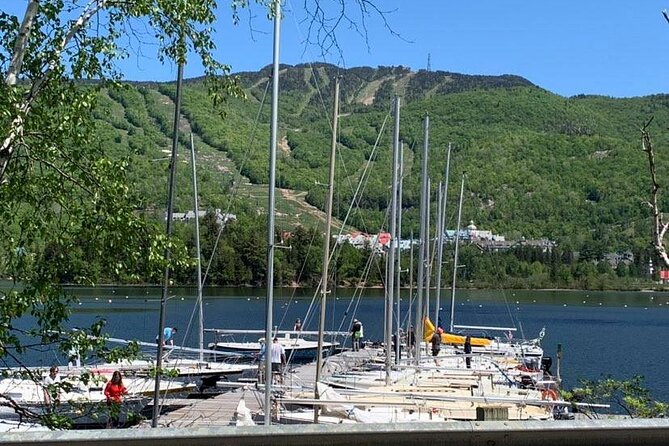 Mont Tremblant Private Day Tour From Montreal - Reviews