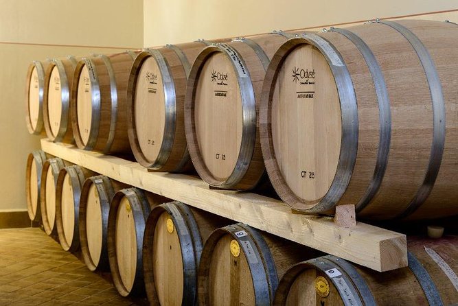 Montefalco: Winery and Oil Mill Tour in With Light Lunch - Traveler Reviews
