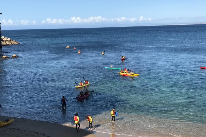 Monterey Bay Full-Day Kayak Rental: Otters, Seals and Sea Lions - Start Time and Refund Policy