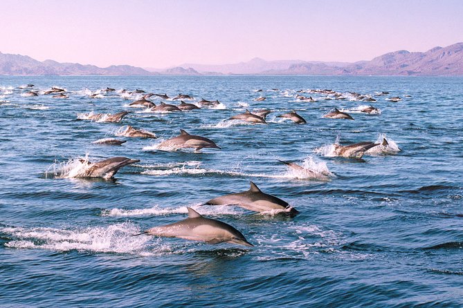 Monterey Bay Whale Watching - Additional Information
