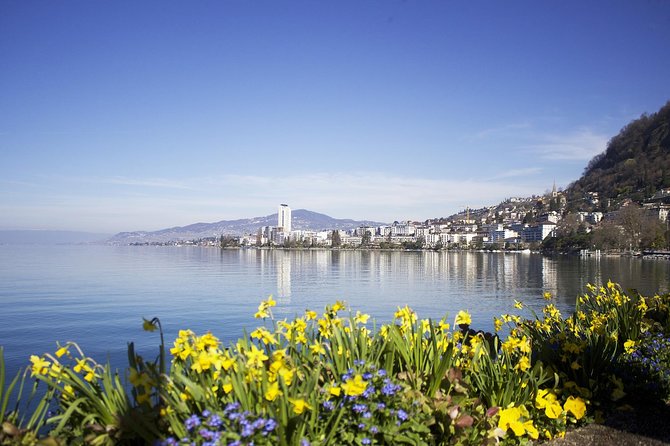 Montreux - Private Tour With Visit to Castle - Customer Reviews and Ratings