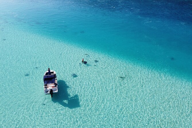 Moorea Half Day Private Tour With Snorkeling and Cruising the Lagoon - Spotting Sharks and Dolphins