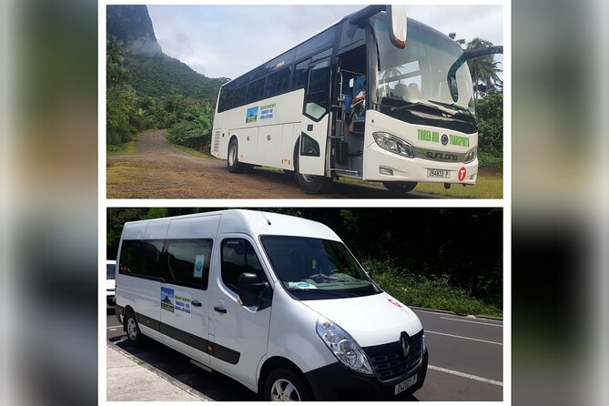 Moorea Island Tour - Customer Satisfaction and Recommendations