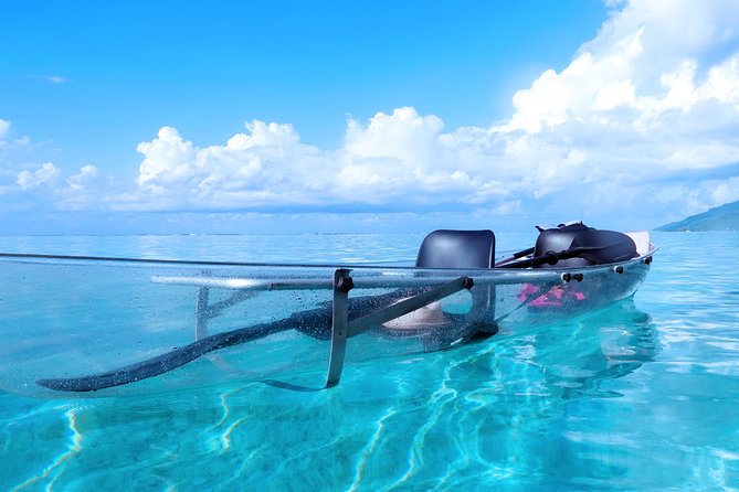Moorea Lagoon Tour by Transparent Kayak - Snorkeling and Swimming Experience