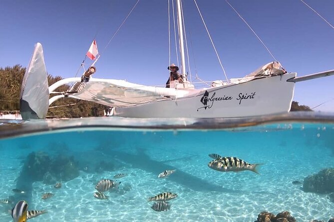 Moorea Sunset Sailing - Guided Commentary on the Local Ecosystem