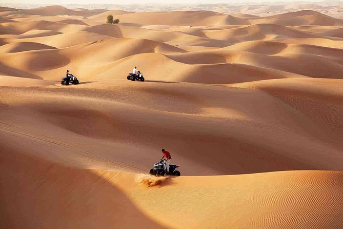Morning Desert Safari With Quad Bike Tour Abu Dhabi - Good To Know