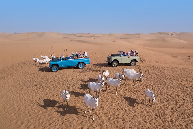 Morning Falconry & Nature Desert Safari With Transfers From Dubai - Customer Experiences and Positive Feedback