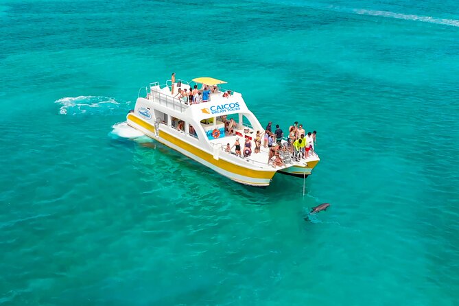 Morning Half Day Cruise From Providenciales With Snorkeling and Iguana Island - Overview and Details