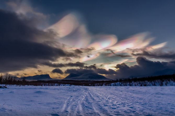 Morning Hike in Abisko National Park - Spotting Local Wildlife