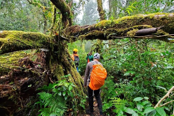 Mount Fansipan 2 Days Trek – Roof of Indochina - Day 2: Reaching the Roof of Indochina - The Summit