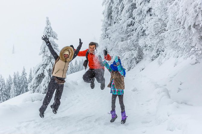 Mount Pilatus and Lucerne Winter Photo Tour - Capturing the Swiss Alps Scenery