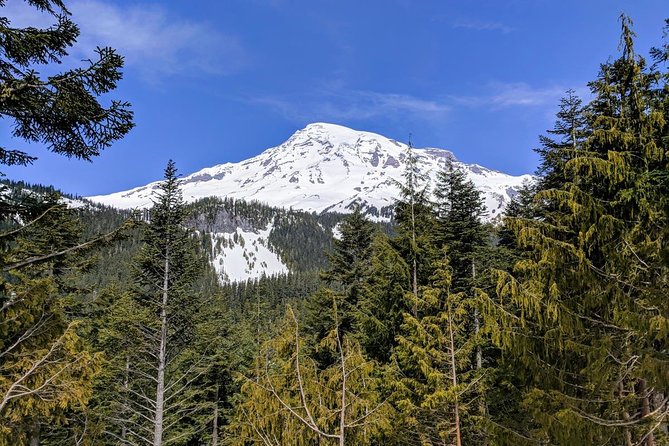 Mount Rainier National Park Luxury Small-Group Day Tour With Lunch - Positive Feedback