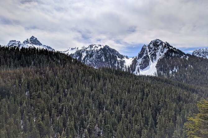 Mount Rainier National Park - Private Luxury Day Tour With Lunch - Pricing and Tour Details