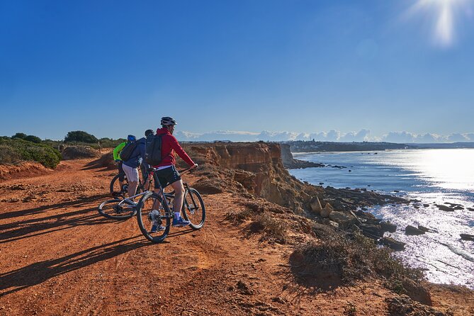 Mountain Bike Tour Conil De La Frontera Wine Bike Tour - Expectations and Requirements