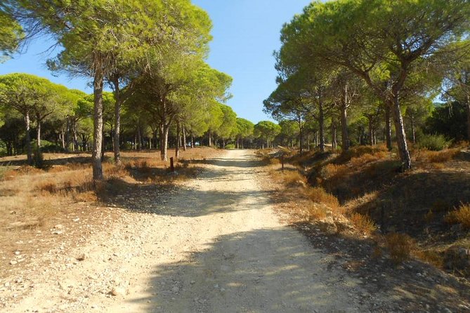 Mountain Bike Tour Costa De La Luz Barbate Zahora - Common Questions