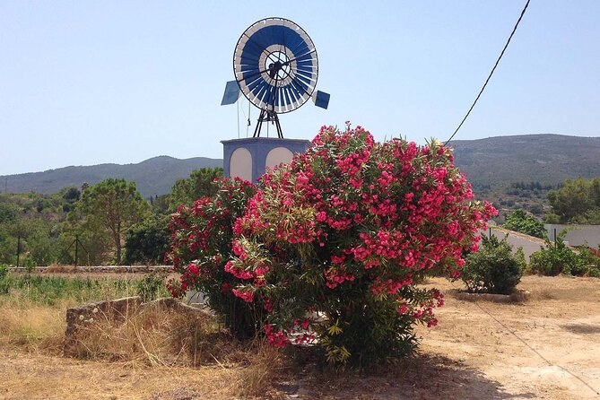 Mountain Bike Tour Font De La Mata - Additional Information and Requirements