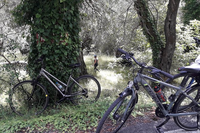 Mountain Biking in Corfu, Greece - Pickup Details and COVID-19 Measures