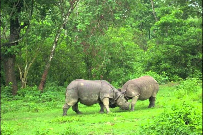 Mountains, Wildlife and Culture Tour - Cultural Experiences