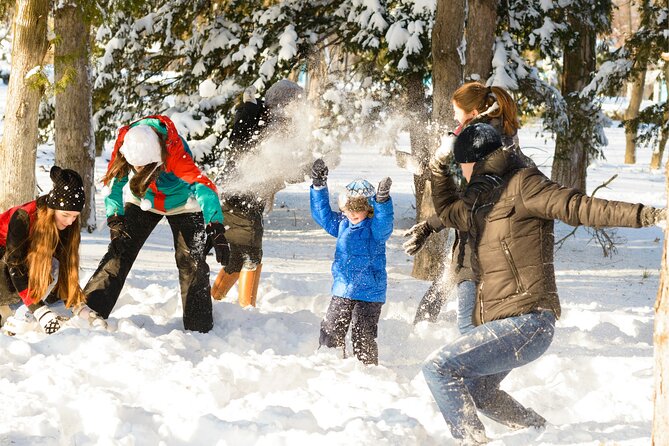Mt Buller, Melbourne Snow and Sightseeing Day Tour - Questions and Price/Availability